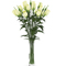 Flowers 26