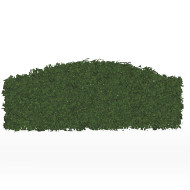 Hedge Arc half