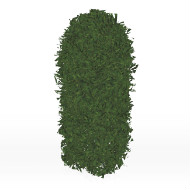 Hedge S6