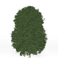 Hedge S5
