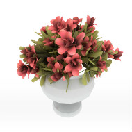 Flower 43