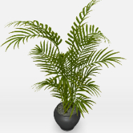 Potted plant 13