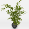 Potted plant 13
