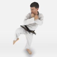 Karate Pose