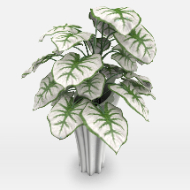 Potted Plant 58