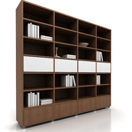 Lecco Bookshelves 3 w books