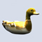 Mallard Duck sitting